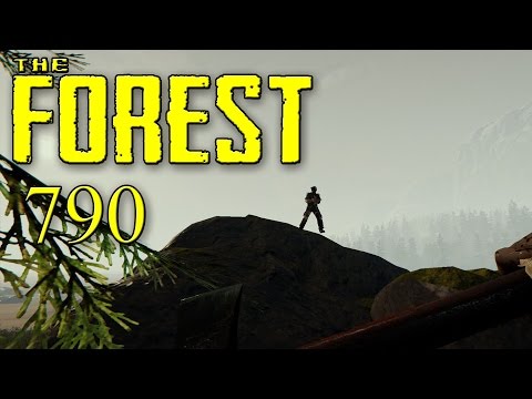 THE FOREST Coop Gameplay Staffel 6 German #790 - Vera muss her