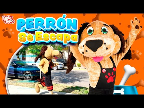 Perrón se Escapó y conoce nuevos amigos - Bely y Beto