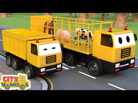 Construction Vehicles Assembly Show-assemble excavator for kids-bulldozer, and crane truck.