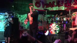 Hed PE &quot;Shadowridge&quot; 12-1-16 O&#39;Malley&#39;s Sports Bar &amp; Grill Margate, FL