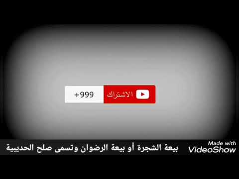 فوائد وعبر من بيعة الشجرة أو بيعة الرضوان أو صلح الحديبية مع قناة ببسطهالك ومحمد عبدالعزيز