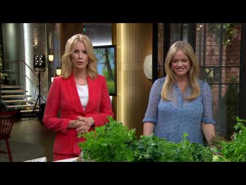 Fredrik Eriksson lagar svensk sommarmat - Nyhetsmorgon (TV4)