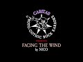 Nico - Facing the Wind - Karaoke Instrumental w. Lyrics - Caritas Alternative Karaoke