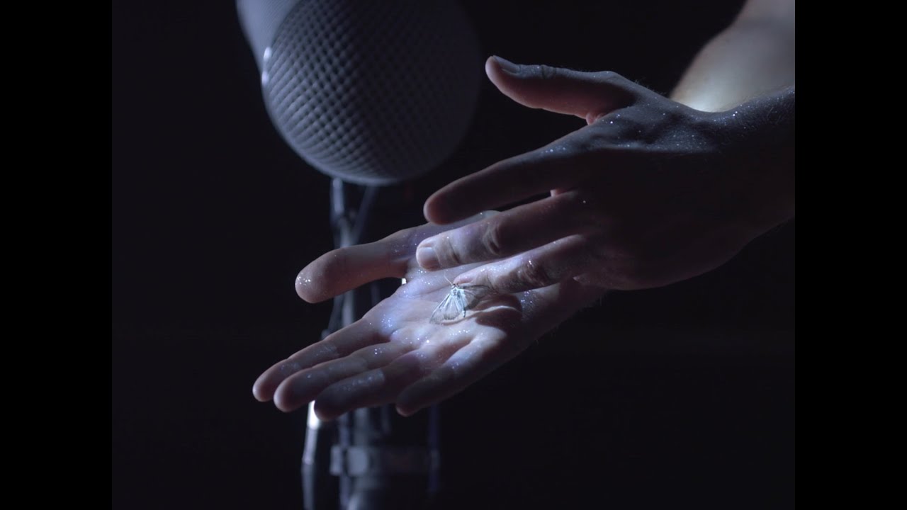 VdR2020 | Carte Blanche | Roxanne Gaucherand | Pyrale