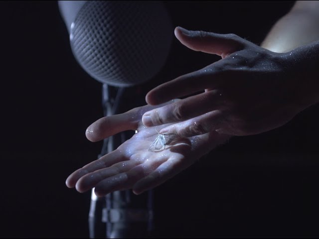 VdR2020 | Carte Blanche | Roxanne Gaucherand | Pyrale