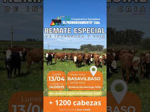 REMATE ESPECIAL DE INVERNADA Y CRIA BASAVILBASO 13-04-2026 | Coop. Ganadera El Pronunciamiento