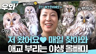 [⭐‍️#우와픽] 매일 찾아오는 귀한 손님, 멸종 위기 2급 ‘긴점박이 올빼미’와 아주머니의 특별한 인연♥️ #순간포착세상에이런일이 #우와한비디오 #우와픽