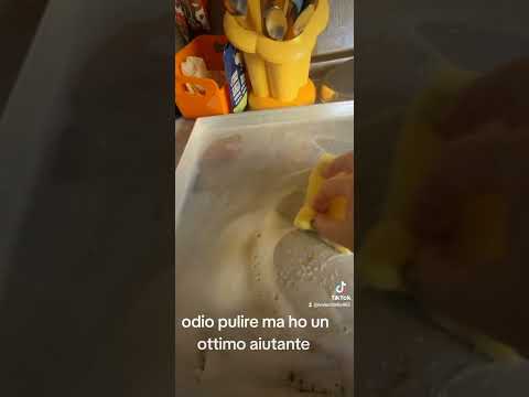 pulire,pulire, sempre pulire, uffa che barba uffa che noia