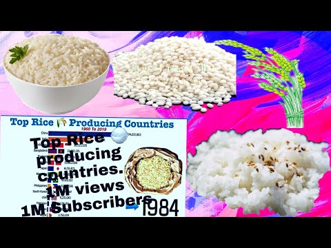 Top Rice producing countries | 📈  | world statistics | stats | ranked | 🌹🥀 | globalstatistics | 2022