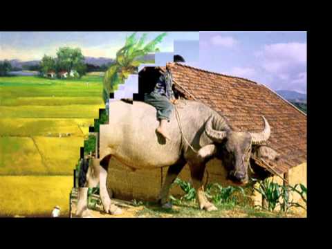 Con đã trở về - Bảo Yến