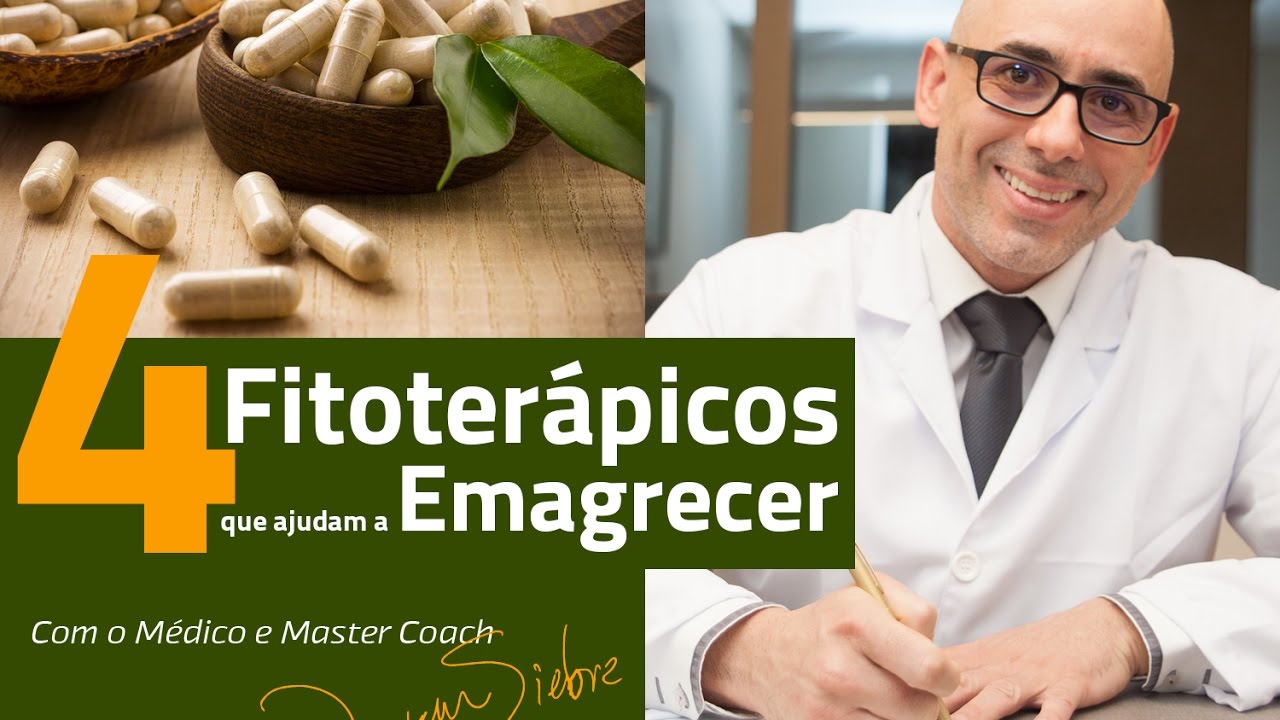 4 Fitoterápicos que ajudam a  Emagrecer | Dr. Dayan Siebra