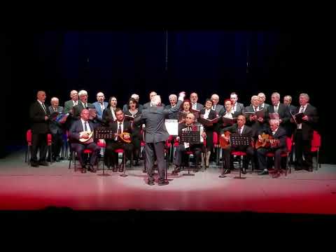 Kori Lira#ne dyqan i tasit#korilita#serenate#viral #viralvideo #korca #kor#albania#shqiperi#muzike