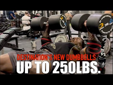 Destination's New Dumbbells Up To 250 | GYMLECO X GASP