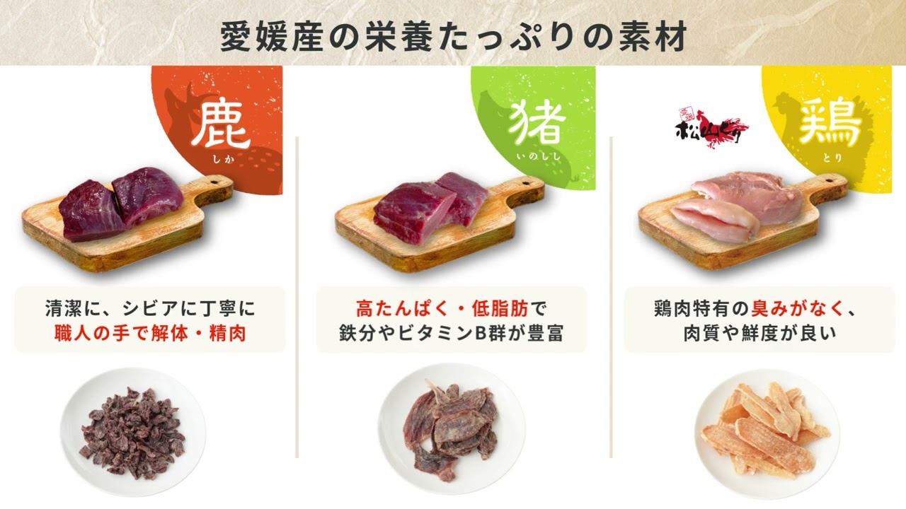 商品動画の編集事例｜商品画像と統一感を持たせた動画編集