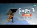 Tum Itna Jo Muskura Rahe Ho Lofi Mix Malhar Jagjit Singh Arth Retro Lofi Songs Lyrical