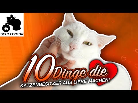 🔥10 Dinge die Menschen aus Liebe zu ihren Katzen machen | Katzen haben ihre Besitzer im Griff