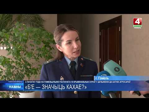 С начала года в Гомельской области возбуждено 10 уголовных дел в отношении домашних агрессоров видео