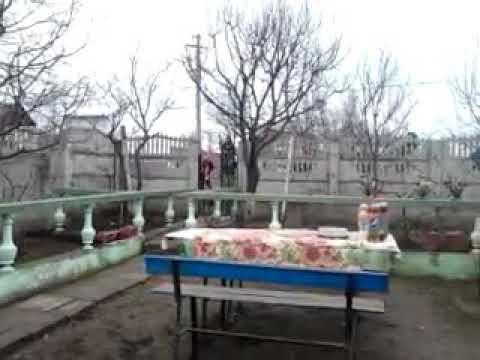 Mascati Harmanestii Vechi 2013