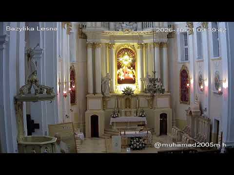Live webcam view of Basilica of Our Lady, Leśna Podlaska