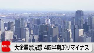 4-6月期の法人企業景気予測調査 大企業景況感4期ぶりマイナス　製造業中心に中東懸念拡大