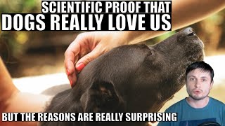 Science Proves Dogs Really Love Us But For a Surprising Reason MQDEFAULT Thumbnail