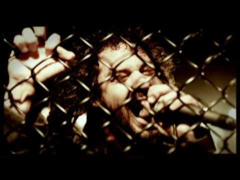 SHADOWS FALL - Still I Rise