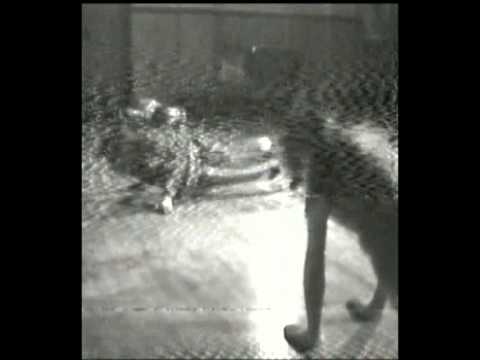 1980 - CRAIGMILLAR TODAY