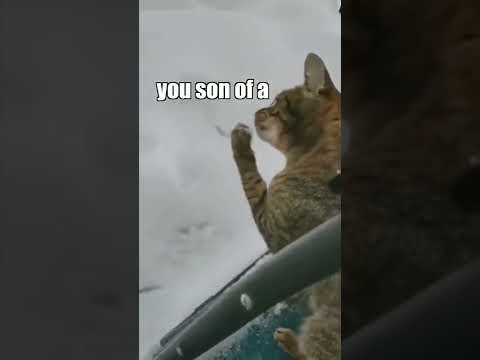 Sharon it’s everywhere!! 😂😂