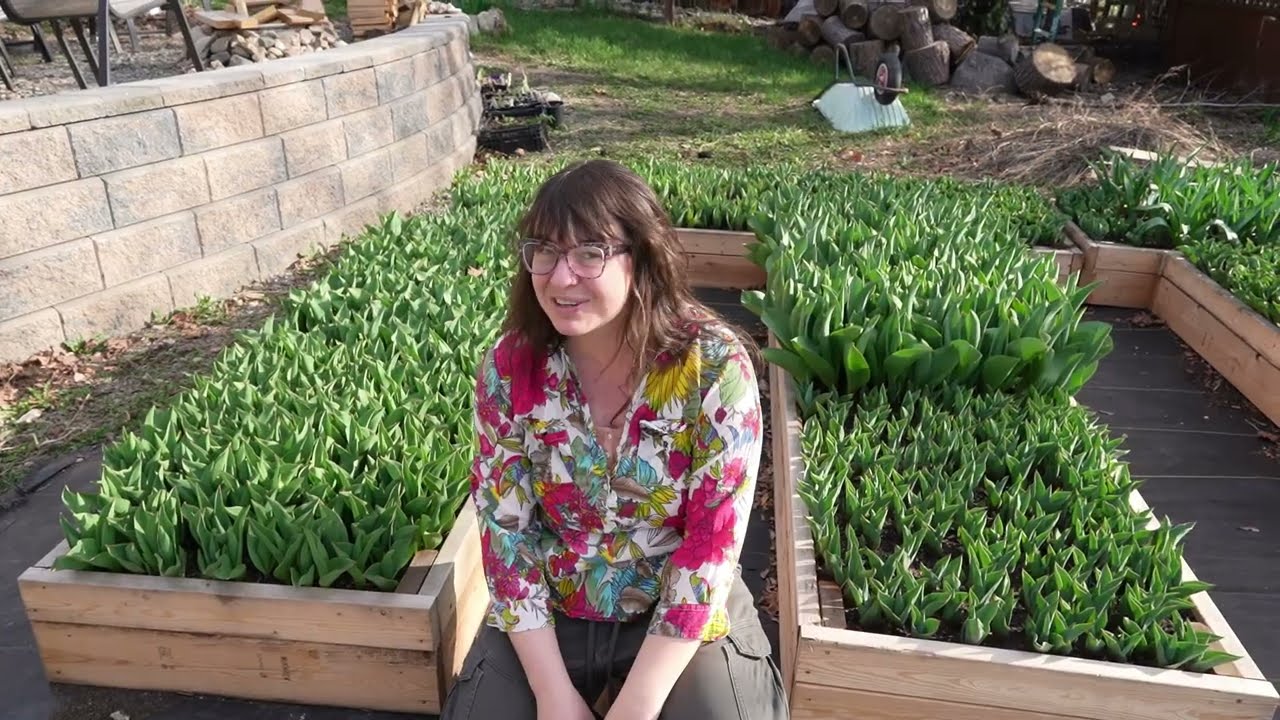 Can This Back Yard Become A Flower Farm? (New Farm Tour)