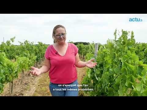 Cathy de L'amour est dans le pré vend son vignoble
