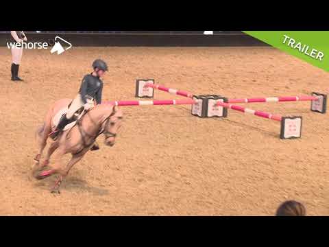 Mit Cavaletti das Springreiten verbessern | Ingrid Klimke @ EQUITANA 2019