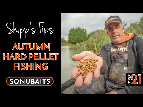 SHIPP'S TIPS - Episode 21 - Target Quality With Hard Pellets This Autumn!