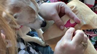 Download lagu Stitching In Hand: Priscilla & Chelsea-The Real Housewives of Cross Stitch mp3 Download lagu Stitching In Hand: Priscilla & Chelsea-The Real Housewives of Cross Stitch mp3