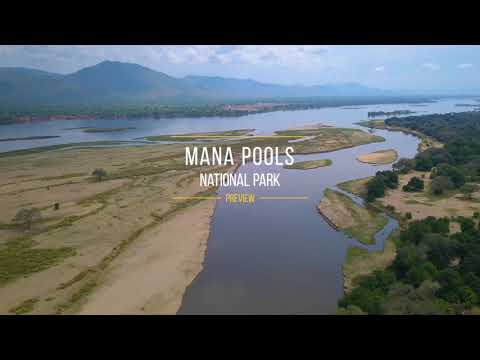 5K African Wildlife Documentary