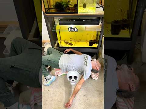 3 fish keeping habits to avoid 🐟❌ #fishtank #aquarium #fishkeepingtips #fishkeeping #fish