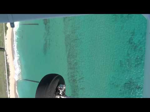 Florida, la migrazione degli squali vista dall'alto