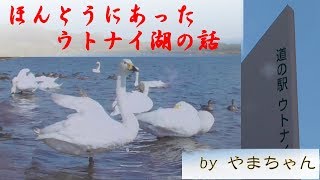 【北海道旅行記】ほんとうにあったウトナイ湖の話