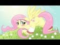 Флаттершай беременна (Fluttershy's big new's!.) [Миёк и Риська ...