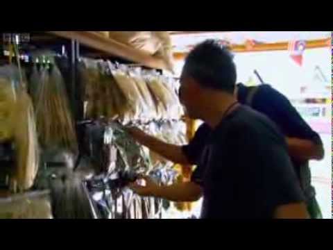 Last Chance to See 4   Komodo Dragon 2009