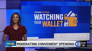 Sashem Brey: Watching Your Wallet - Moderating convenient spending