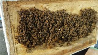 How to do splits with a packed hive