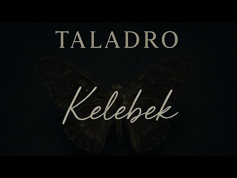 ArifeSert289’s Video 109151511456 aDZQFRLw_yg