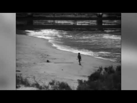 Video Reveals The Israeli Army Detected An Israeli Crossing The Border Into Gaza But Didn T Stop Him Haaretz Com Haaretz Com [ 360 x 480 Pixel ]