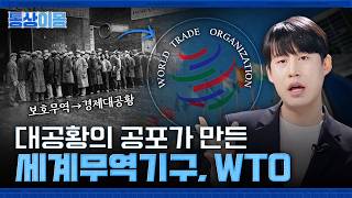 ✈️Heard of the WTO... but what does it do? 😮😮😮😮 Trade Dream