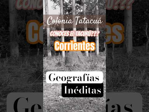 ¿Sabes qué es un Tacurú? #tacurú #corrientes #argentina #educacion #viajes #historia #caravana