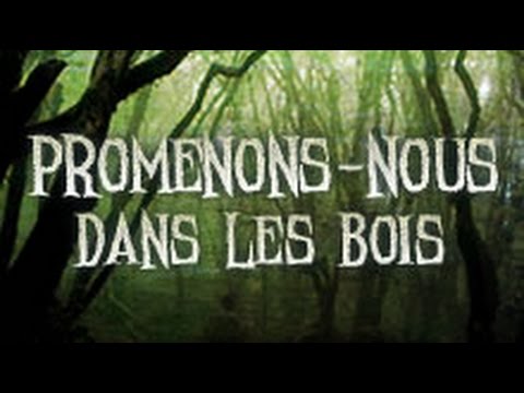 #08 - Promenons-nous dans les bois