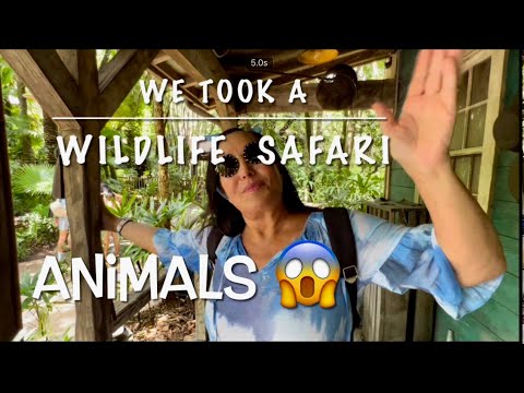 Kilimanjaro Safari Ride Animal Kingdom. Animal Kingdom. Disney. Safari. Africa. Kingdom