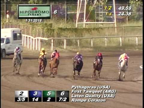 6TA CARRERA DEL DOMINGO 31 DE ENERO DE 2016