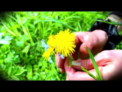 Du bist für mi Hoamat - Barbianer Gitschn (Die Hollerstauden Cover)