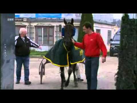 Hunyady-Gedenkrennen 2013 / Waldbaur-Gedenkrennen 2013